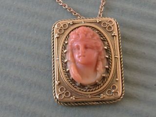Carved Cameo Pendant Necklace In 14k Frame And 14k Necklace 16 " Chain.