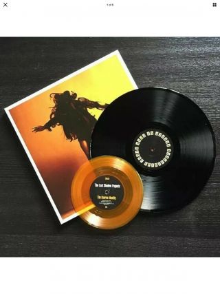 The Last Shadow Puppets Everything You ' ve Come To Expect DELUXE Vinyl LP c/w 7 
