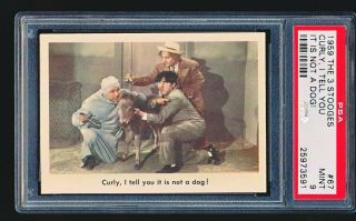 1959 Fleer 3 Three Stooges Curly,  I Tell You.  67 Psa 9