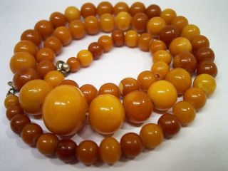 Antique Small Baltic Butterscotch Amber Round Bead Necklace 14.  6 Grams
