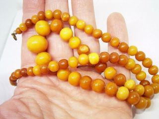 ANTIQUE SMALL BALTIC BUTTERSCOTCH AMBER ROUND BEAD NECKLACE 14.  6 GRAMS 3