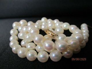 Vintage Japanese Akoya Pearl Strand Necklace 24 " Bright White,  6.  2mm Pearls,  14k