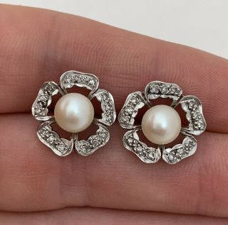 14ct White Gold Diamond And Cultured Pearl Stud Earrings,  14k