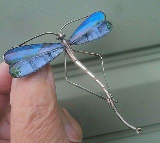 Very Large Vintage Stg.  Silver Dragonfly Wing Brooch Iguazu Falls Thomas L.  Mott