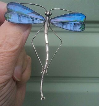 VERY LARGE Vintage Stg.  Silver Dragonfly Wing Brooch IGUAZU FALLS Thomas L.  Mott 3