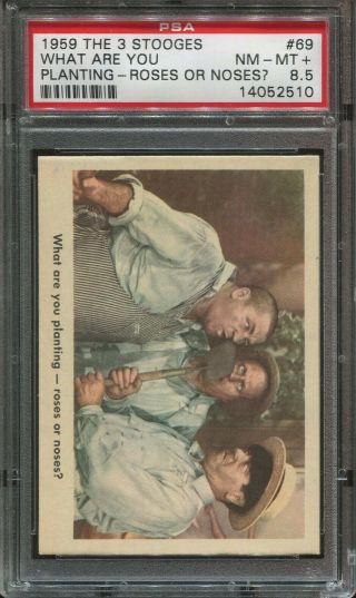1959 The 3 Stooges 69 What Are You Planting Roses Or Noses? Psa 8.  5 Nm - Mt,