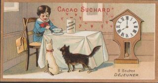 Ancien Chromo Chocolat Suchard/cacao - 8h - Dejeuner - Ecolier/chien/chat - Horloge