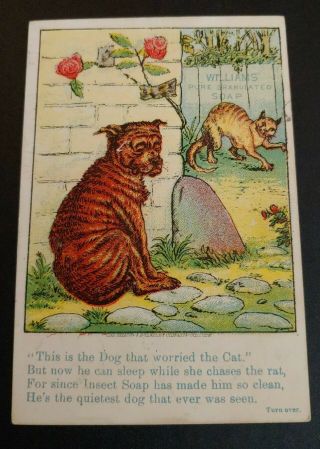 Trade Card D.  W.  Williams & Co Soaps,  Glastonbury Ct - " Dog That Worried The Cat