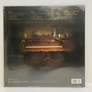 Panic At The Disco Vices & Virtues LP Vinyl Safe 2