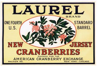 1930s Jersey Cranberry Crate Label Laurel Floral Chicago York