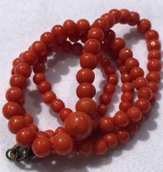 Antique Vintage Estate Victorian Art Deco Red Coral Beaded Necklace 20.  5” 8mm
