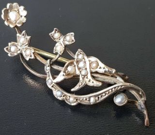 Antique Victorian 9ct Gold Seed Pearl Swallow Brooch