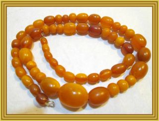 Vintage C1920s - Natural Baltic Butterscotch Amber Bead Necklace - 18.  0 Grams Nr