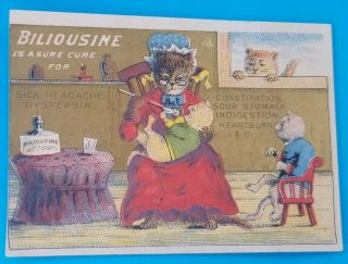 Victorian Trade Card Billiousine Snow Earle Providence Rhode Island Cats
