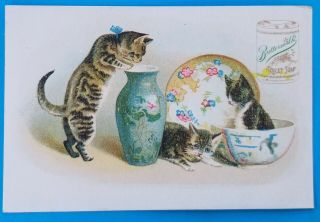 Victorian Trade Card Buttermilk Toilet Soap Three Cats Getting Into Trouble