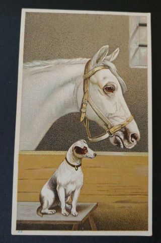 Trade Card The Equitable Life Of The District Of Columbia - Horse With A Dog