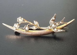 Antique 9ct Rose Gold Seed Pearl Swallow Brooch