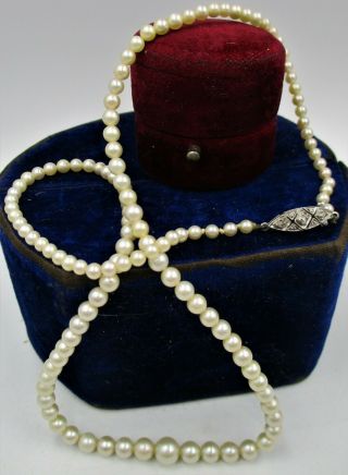 Antique Art Deco Era C1930 ' s Pearl Necklace With Diamond Set White Metal Clasp. 3