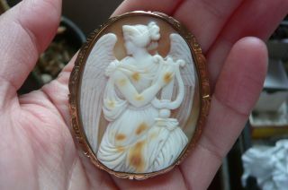 Victorian Orpheus With Lyre Tricolour Shell Cameo And 9 Carat Rose Gold Brooch