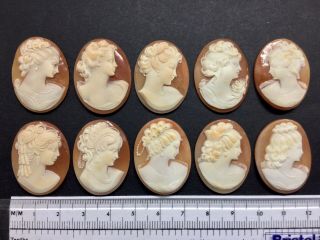 10 Antique Victorian Carved Italian Shell Cameo Bracelet Brooch Pendant Repair