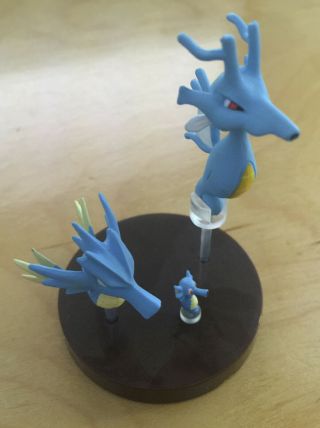 Pokemon Zukan Horsea Seadra Kingdra 1/40 Figures - Ultra Rare