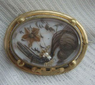 Victorian Gilt Metal Hair Art Forget Me Not Flower Seed Pearl Mourning Brooch
