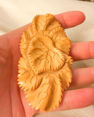Fabulous Heavily Carved Creamy Butterscotch Bakelite Leaf Pin