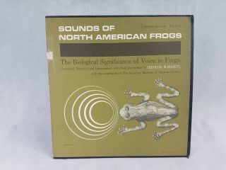 Folkways / Sounds Of North American Frogs / Charles M.  Bogert / Natural History