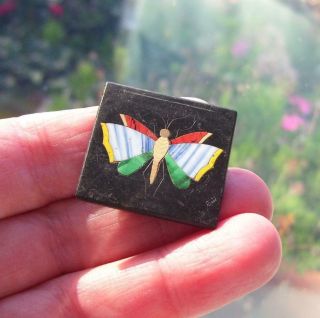 Rare Antique Pietra Dura Butterfly Micro Mosaic Italian Plaque For Re - Setting