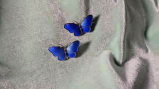 Ivar T.  Holth Sterling Gulloche Set Vivid Blue Butterfly Pins Norway