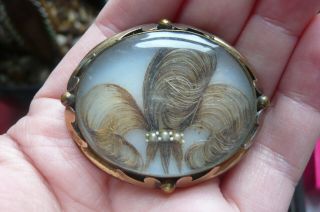 Victorian Prince Of Wales Feathers Seed Pearl And Gilt Metal Mourning Brooch