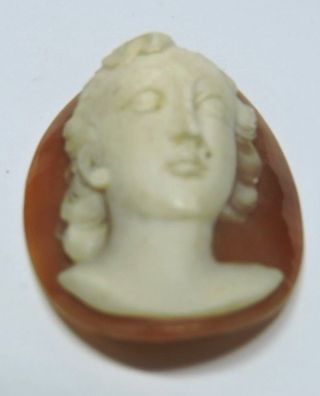 Nos Antique Hand Carved Oval Shell Cameo Stone Deco Woman Deep Detail Aa411