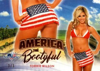 Torrie Wilson 3/3 2017 Benchwarmer America Bootyful Butt Card Bc2