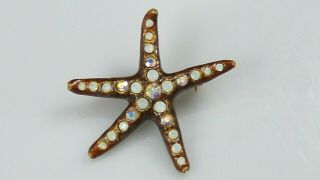 Vintage Jay Strongwater Starfish Barclay Pendant Brooch Swarovski Crystal Enamel