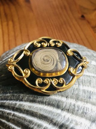 Antique Victorian Rolled Gold Mourning Brooch Rare Collectable 1850s