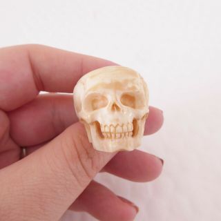 Memento Mori Carved Skull Ring,  Large