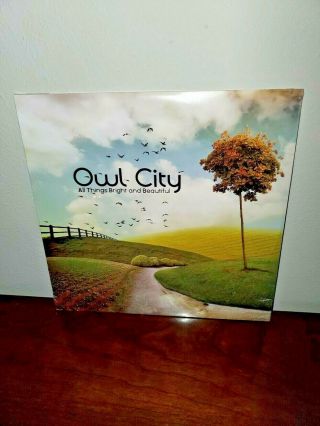 Owl City - All Things Bright And Vinyl