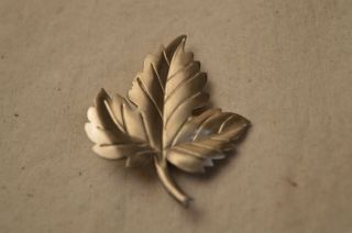 Tiffany Co Signed Sterling Silver Maple Leaf Brooch Pin Autumn Satin Finish