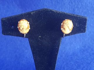 Very Pretty Pair Late 19th Cent 10ct Solid Gold Cameo Screw Back Earrings
