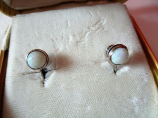 Vintage 14k White Gold Opal Screw Back Earrings Estate