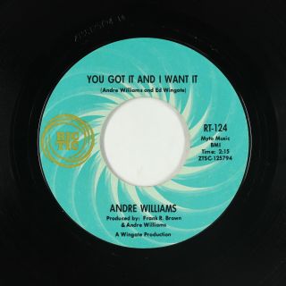 Northern/deep Soul 45 - Andre Williams - You Got It - Ric Tic - Mp3