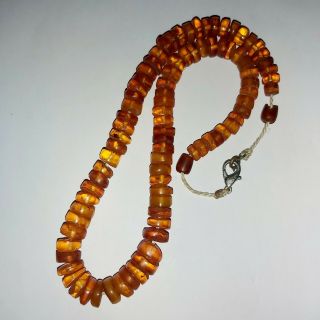 Antique Vintage Honey Batterscotch Cognac Natural Baltic Amber Beads Necklace