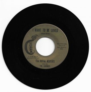 Doo Wop 45 The Royal Jesters I Want To Be Loved On Cobra Vg,