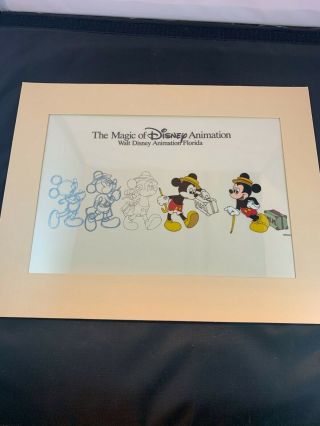 Travelling Mickey The Magic Of Disney Animation Cel Progressive