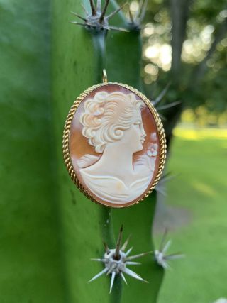 Vtg Van Dell 1/20th 12kgf Carved Cameo Pendant Brooch Gorgeous