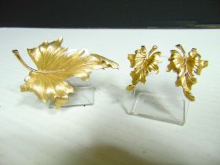 Vtg.  Crown Trifari Gold Tone Leaf Brooch & Earring Set