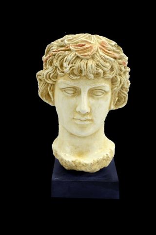 Antinous Bust - Antinoos - Ancient Rome - Greece - Emperor Hadrian - Item