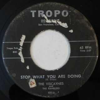 Doo Wop 45 The Viscaynes Stop What You Are Doing Tropo Sly Stone G Hear