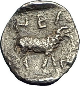 Neandria Troas Authentic Ancient 400bc Silver Obol Greek Coin Ram Apollo I77224