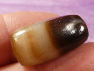 Ancient Indo Tibetan Chung Dzi Agate Banded Bow Shaped Bead With Inclusions Tops